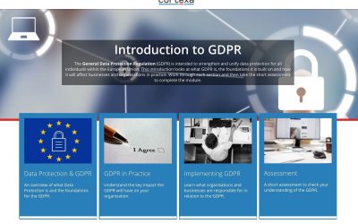 Protected: You may be ready for GDPR but are your colleagues?